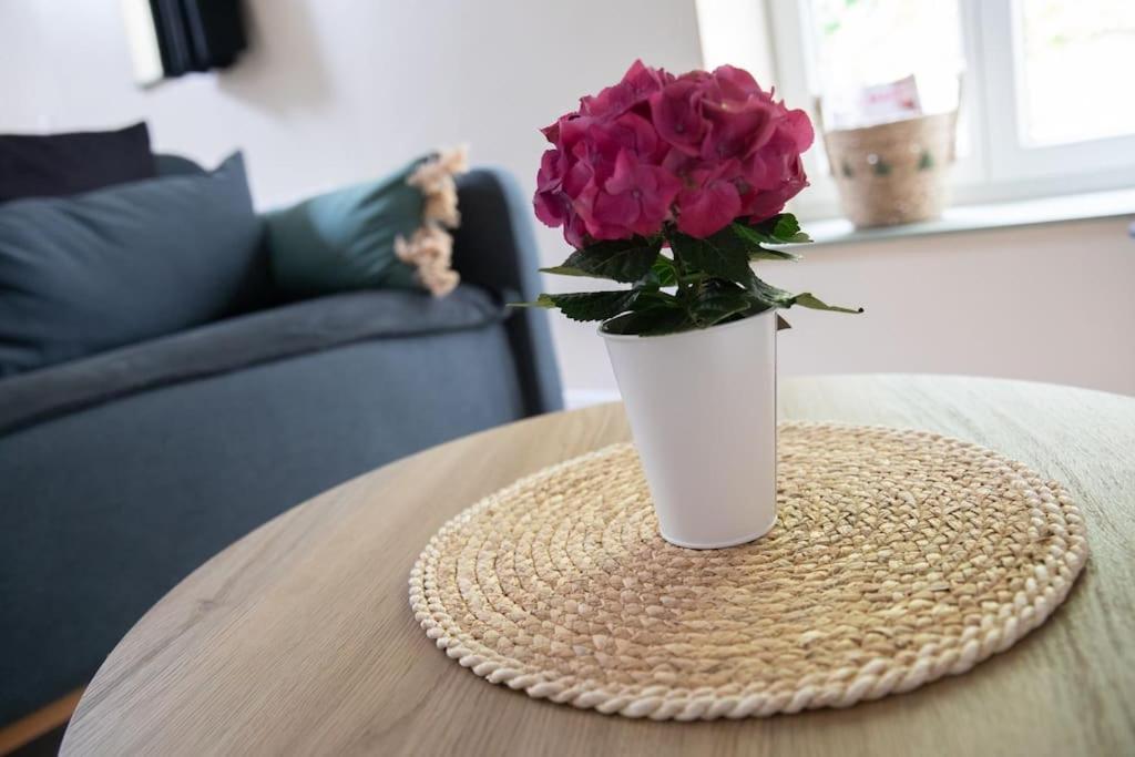En Vieille Avec En Mezzanine Apartment Boulogne-sur-Mer
